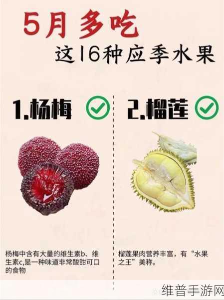 香蕉丝瓜草莓樱桃草莓榴莲知乎：1. 香蕉丝瓜草莓樱桃榴莲：热带水果的奇妙组合