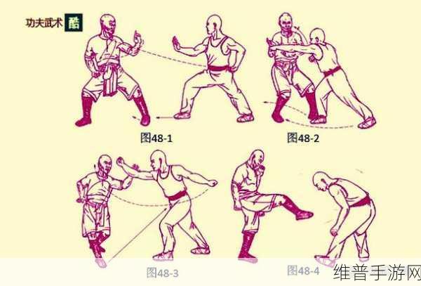 七十二招式图片：1. ＂七十二招式：武术的智慧与传承之路