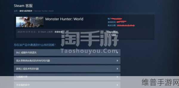 Steam 电子邮件填写攻略,手游玩家必知