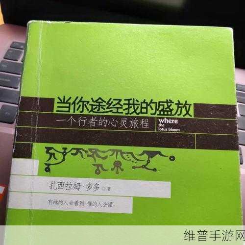 双男主多男主1v3上岸:1. 三人同行,双男主的心灵旅程