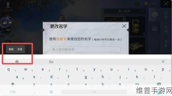 和平精英名字空白代码大揭秘