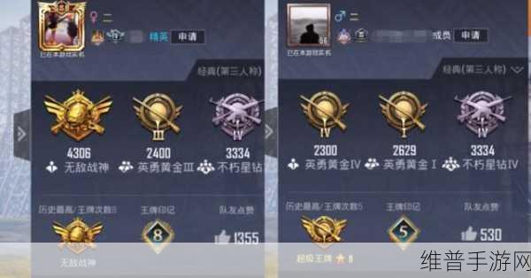 和平精英名字空白代码大揭秘