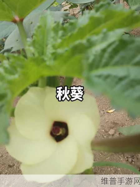 污榴莲香蕉秋葵黄瓜草莓超多观看：1. 超级热带水果大集合：榴莲、香蕉与草莓的完美搭配