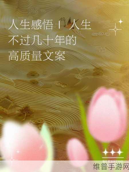 成品人精品人的意义和重要性：1. 成品人：打造高质量人生的重要力量