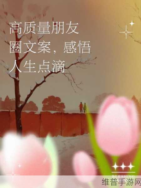 成品人精品人的意义和重要性:1. 成品人:打造高质量人生的重要力量