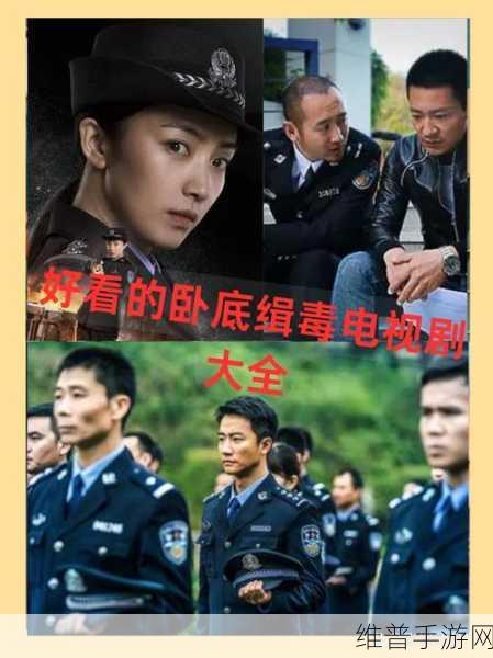 最好看的中文字幕国语电视剧：当然可以！以下是一些根据热门中文字幕国语电视剧拓展出的新