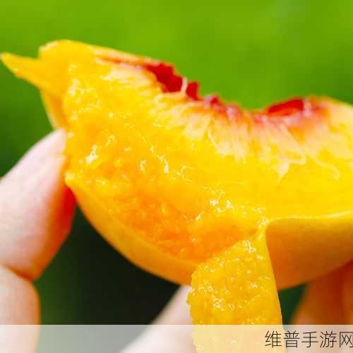 蜜汁香桃by抹茶曲奇：1. 蜜汁香桃，甜蜜夏日的美味诱惑