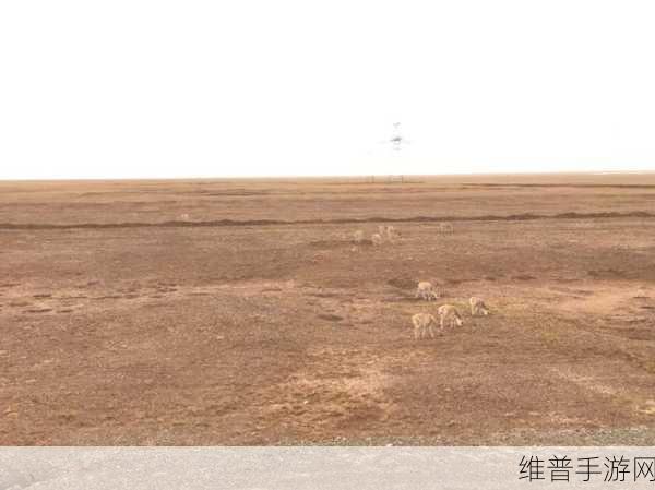51无人区码一码二码三码区别：1. 探索51无人区：一码、二码与三码的深度解析