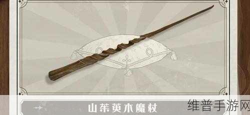 哈利波特:魔法觉醒手游攻略，如何查看魔杖属性