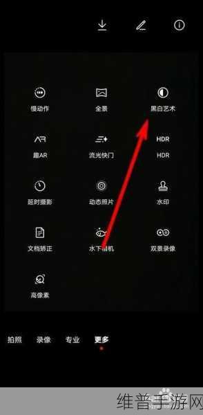 手游玩家必备，手机颜色黑白调回全攻略