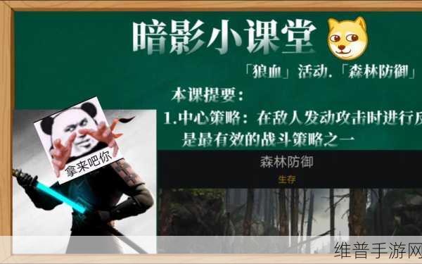 暗影格斗3猩红森林全面攻略，解锁胜利的关键