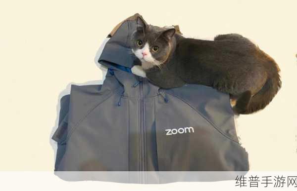 俄罗斯ZOOM人与ZOOM：1. ＂俄罗斯ZOOM人与文化交流的无限可能