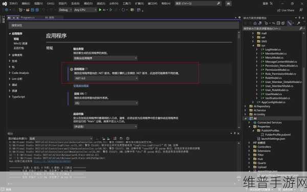 VPSWINDOWS另类极品有超多线路可选：1. VPS WINDOWS独特特点：丰富线路选择与灵活性