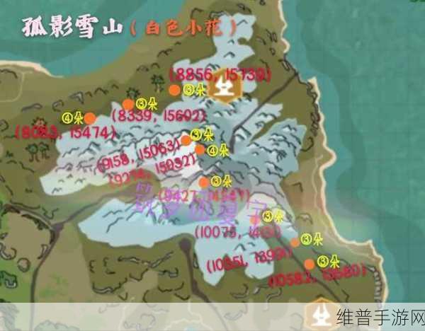创造与魔法中白色小花的奇妙用途全解析