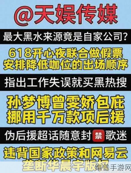 天娱传媒梦梦回家相亲：1. 梦梦回家：寻找爱情的奇妙旅程