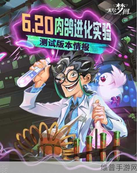 无尽梦回荒诞之梦与未来之梦选择推荐，全面解析游戏战术