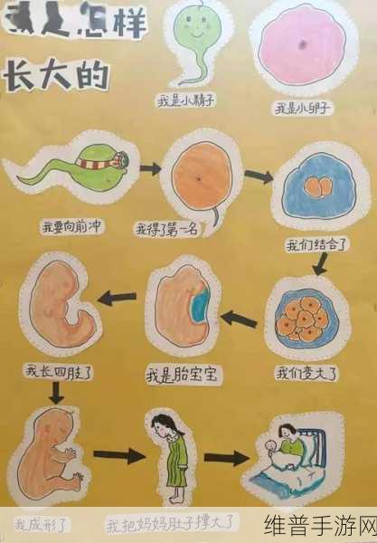 生物老师闵儿用自己给我们讲课：1. 探索生命的奥秘：从细胞到生态系统