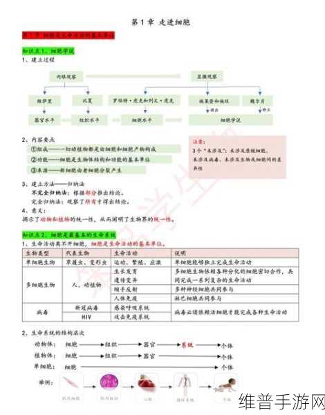 生物老师闵儿用自己给我们讲课:1. 探索生命的奥秘:从细胞到生态系统