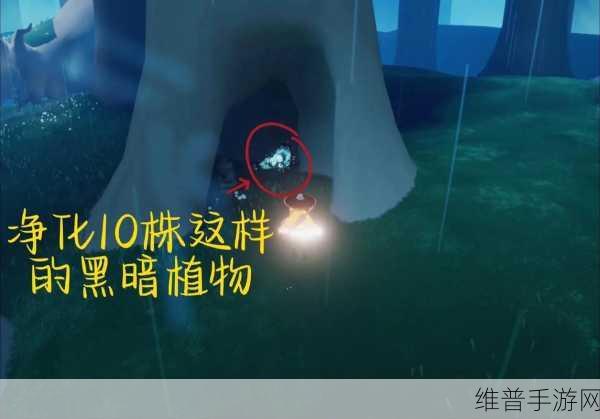 光遇,深度解析净化十株黑暗植物任务