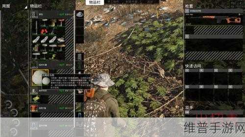 欧大Dscum：好的，以下是基于“欧大Dscum”拓展出的新标题，每个标题不少于10个字：