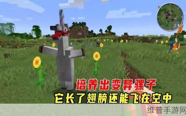 我的世界，驴与骡子背箱子全攻略