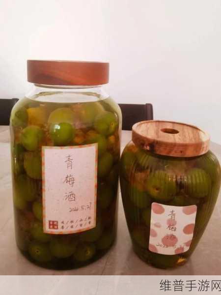 青梅1V3：1. 青梅酒的魅力：一杯中的故事与传统