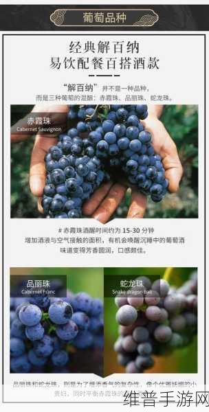 999精产国品一二三产区：1. 999精产国品：一二三产区的创新融合之旅
