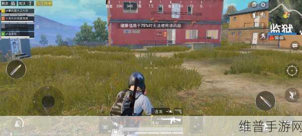 转转自由市场验机秘籍大揭秘 助力手游畅玩之旅