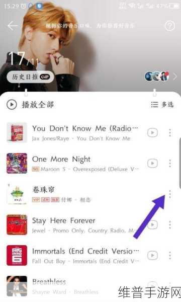 手游攻略，如何将网易云APP中的歌曲设置为手机铃声