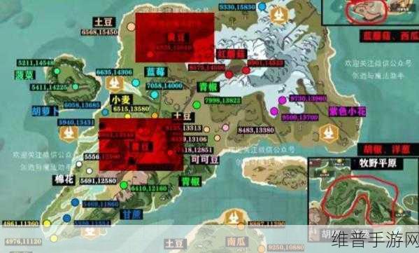 创造与魔法，红色小花分布位置全揭秘