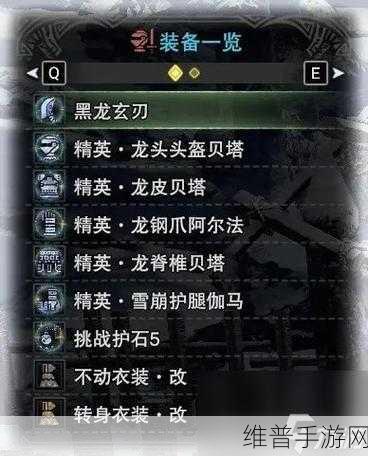 怪物猎人手游攻略，揭秘哪个武器伤害高又好用