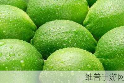 青柠视频在线观看高清bd一集提供无限影视资源：1. 青柠视频：高清影视资源尽在掌握