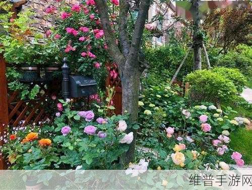 老公亲我的小花园爱我吗怎么回答全开放了：当然可以！以下是一些相关的标题，供你参考：