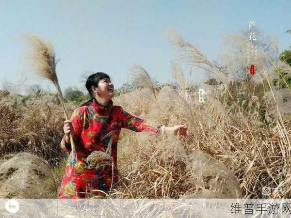 公园里的老年镖客视频人生：1. 老年镖客：岁月无阻，心中依然有梦