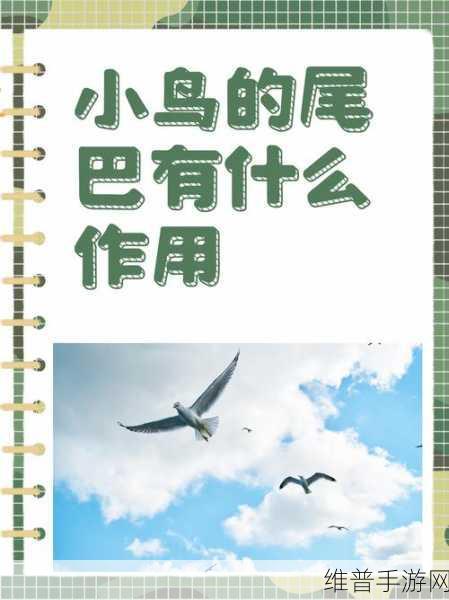 可不可以干湿解释：1. 干湿交替：自然现象中的微妙平衡探讨