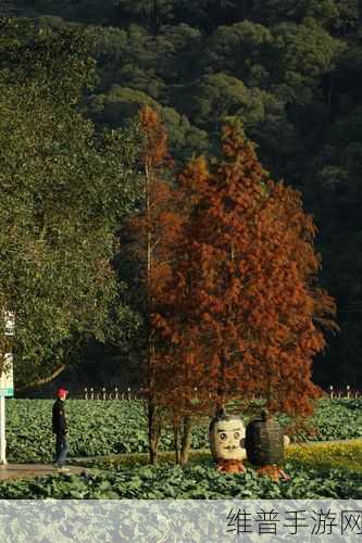 四叔一次又一次索取盛年岂的困扰：1. 四叔的执念：盛年岂背后的困扰与思考