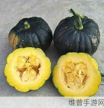 718黑瓜吃料：1. 黑瓜的魅力：718吃料新风潮