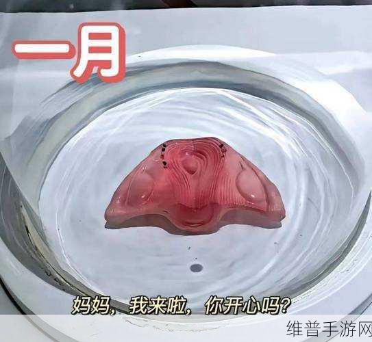 WINDOWSCHANNEL孕妇3D:1. "孕妇3D全景体验:感受生命的奇迹
