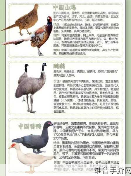 人与畜禽：当然可以！以下是一些基于“人与畜禽”主题的标题建议：