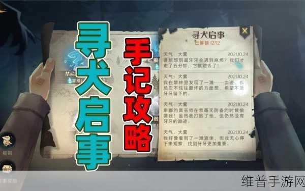哈利波特:魔法觉醒寻犬启事第8层通关玩法深度分析