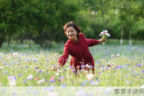 大手向下游走来到芳草地:1. 大手向下游走,探寻芳草地的秘密