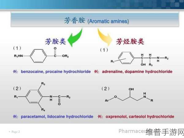 《药效》1V2H:1. 药效分析:从基础到临床应用的全面探索
