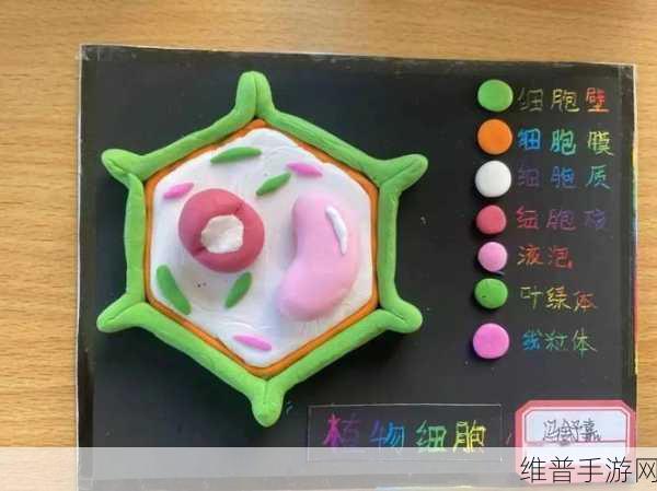 我成了生物课的教具篇1：1. 创意生物教具：激发学生探索自然的热情