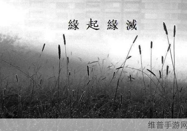 日本亲近相尾换伴结局:1. 《缘起相尾:换伴后的新生活