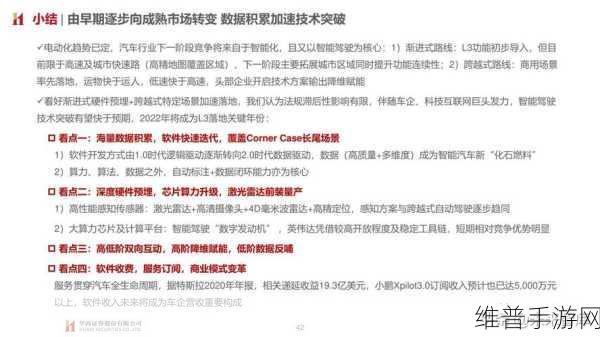品产品久精国精产拍完整百科：1. 产品久精国精产的市场定位与发展前景