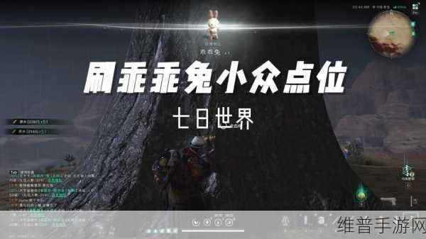 七日世界手游攻略，揭秘乖乖兔的获得方法