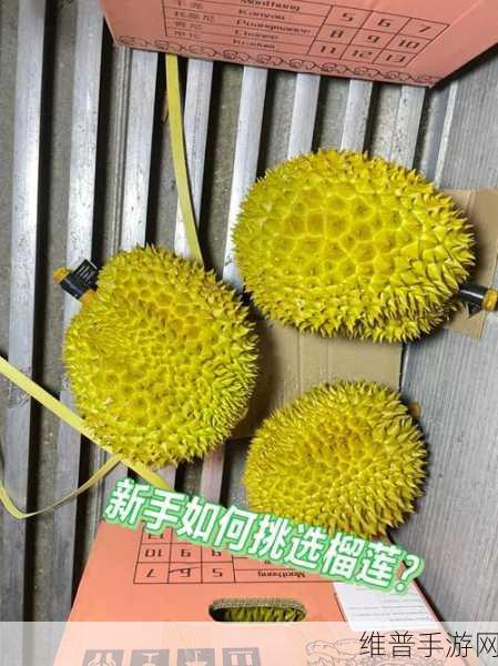 lll.999榴莲让你流连忘返破解无限制看演出：1. 榴莲魅力无限，演出盛宴等你来享