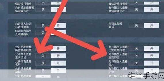 和平精英，隐藏历史战绩的终极指南