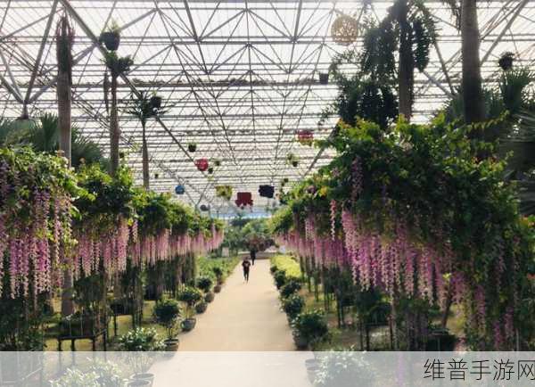 伊甸园一路二路三路入口在哪个位置：1. 探寻伊甸园的神秘入口：一路、二路与三路