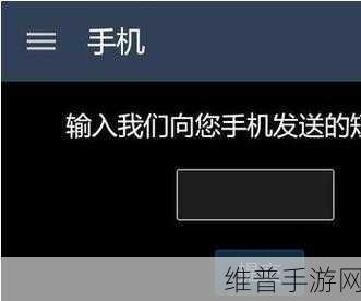 手机版Steam的特殊验证码详解，保障手游安全的秘密武器